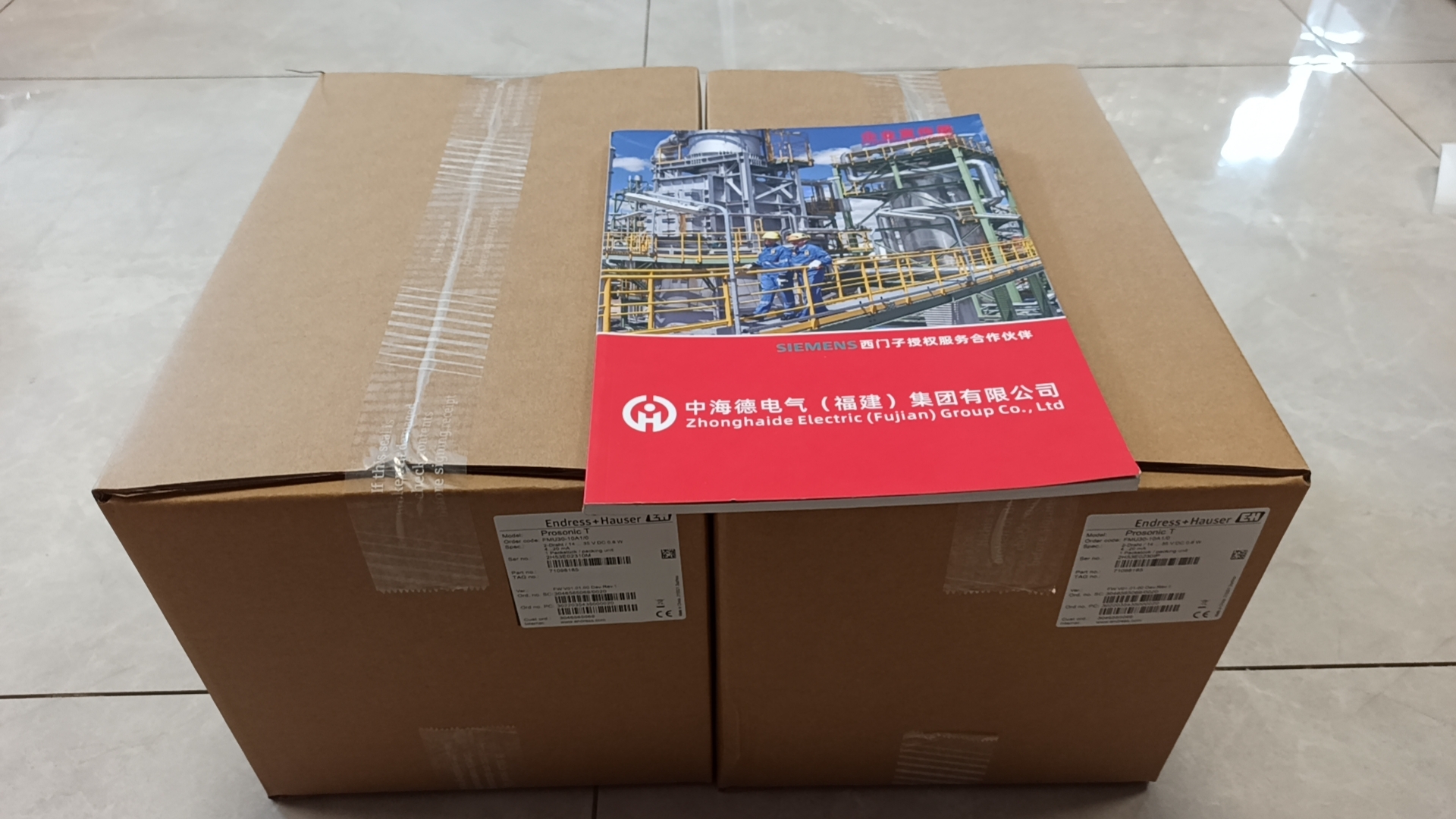 Endress+Hauser FMU30-10A1/0物位计